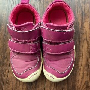 NIB PLAE Lucien Festival Fuchsia Kids Sneaker used size 8